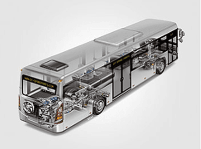 BUSES